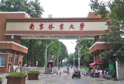 南京林业大学最新信息网，林业科技探索的门户