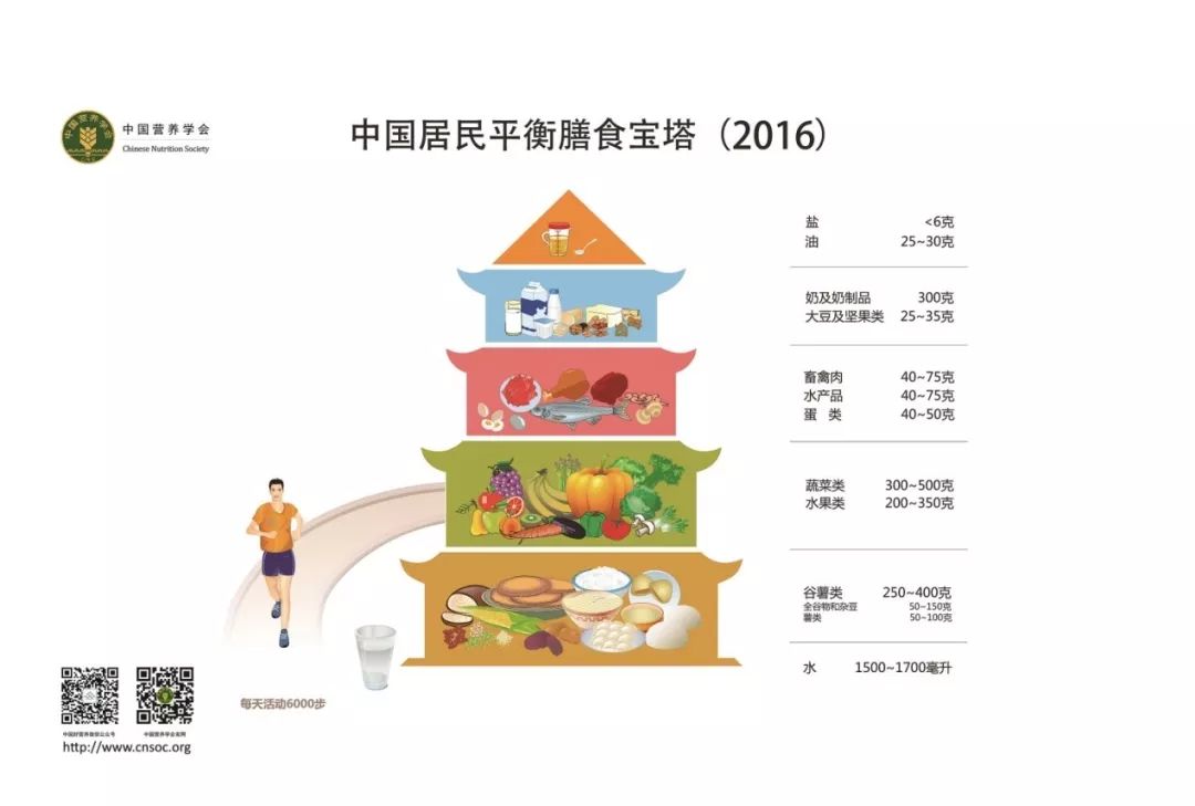 最新版居民膳食指南，构建健康饮食生活的核心指南