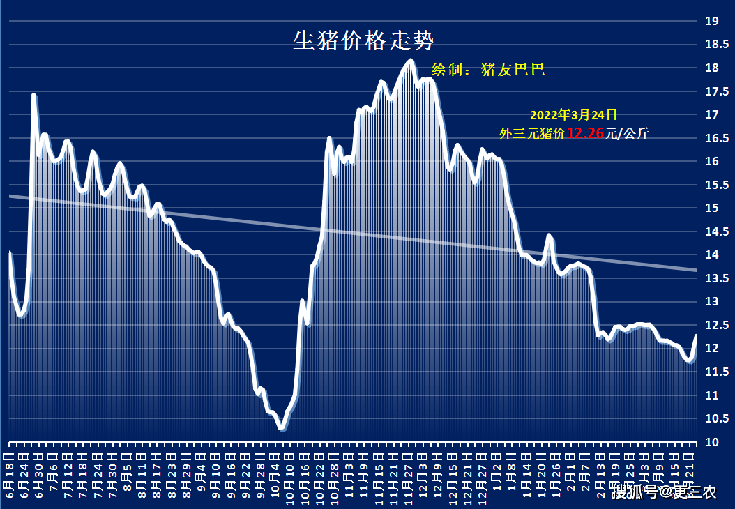 黑龙江今日猪价行情分析与趋势预测